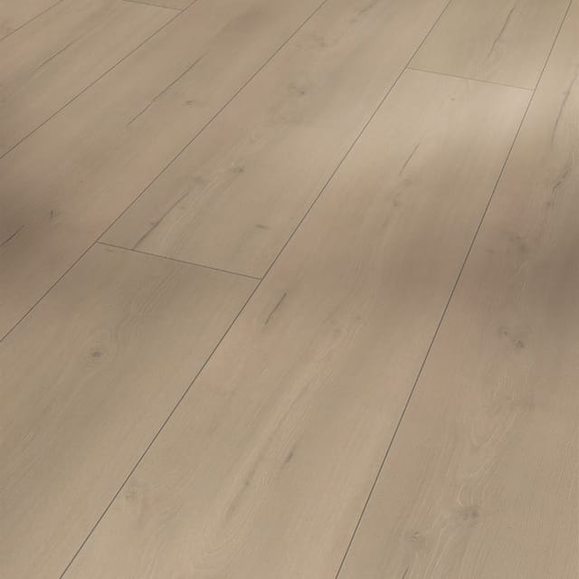 Parador Trendtime 6 Laminat 9 mm Wasserfest Eiche Loft Grau 220 cm