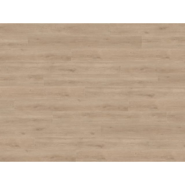 Living by Haro XL Laminat 8 mm Eiche Veneto Creme 220 cm
