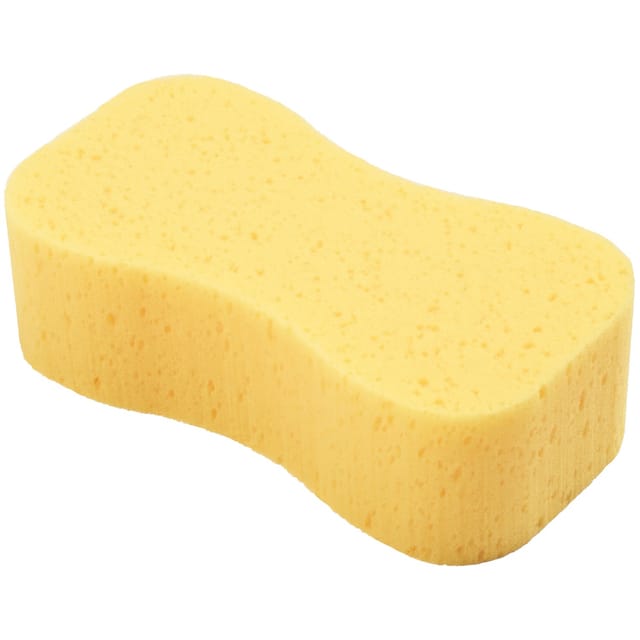Autoschwamm Knochenform