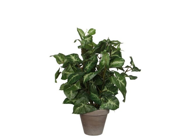 Mica Decorations Kunstpflanze Syngonium im Blumentopf Ø 25 cm x 35 cm Grün