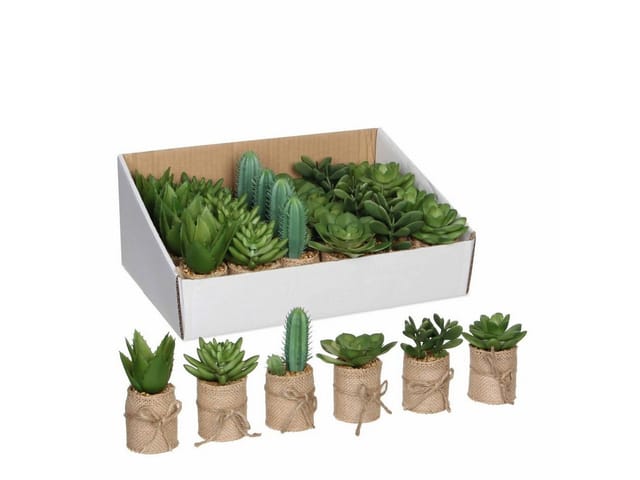 Mica Decorations Kunstpflanze Sukkulente Sortenauswahl im Topf Ø 5 x 12 cm Grün