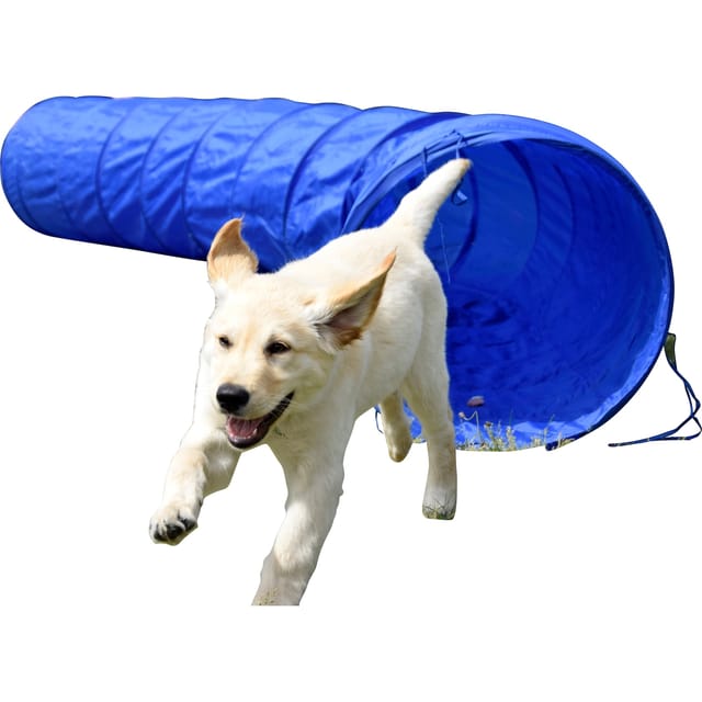 Dobar Agility Tunnel 500 cm Ø 60 cm Blau