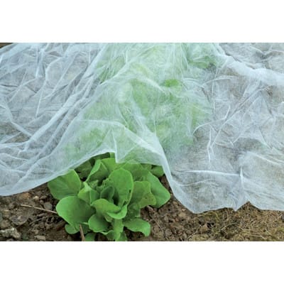 Floraworld Garten-/Wintervlies 10 m x 1,5 m