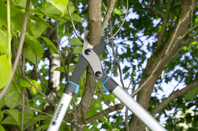 Gardena Astschere EnergyCut 750 B Bypass-Prinzip42 mm Schnittstärke