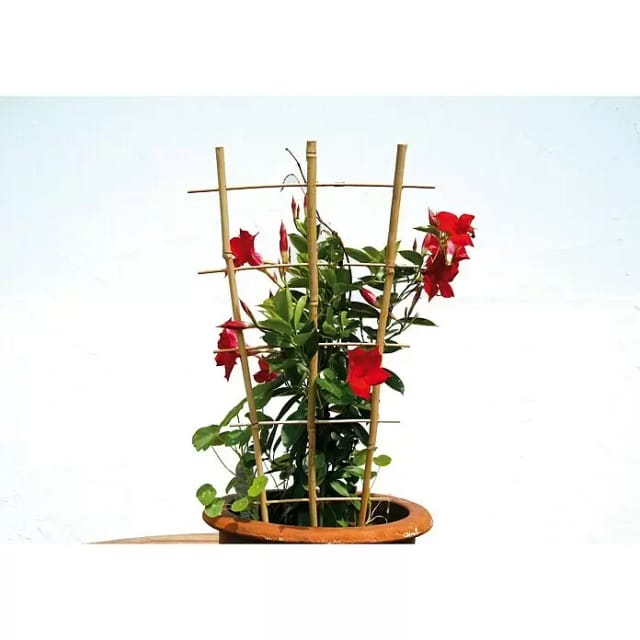 Floraworld Pflanzengitter Classic 160 cm