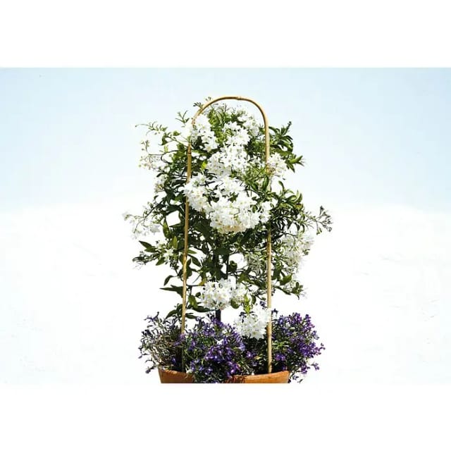 Floraworld Pflanzenbogen 2er-Set 60 cm