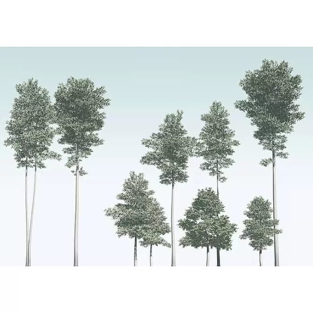 Komar Fototapete Vlies Pines 400 x 280 cm