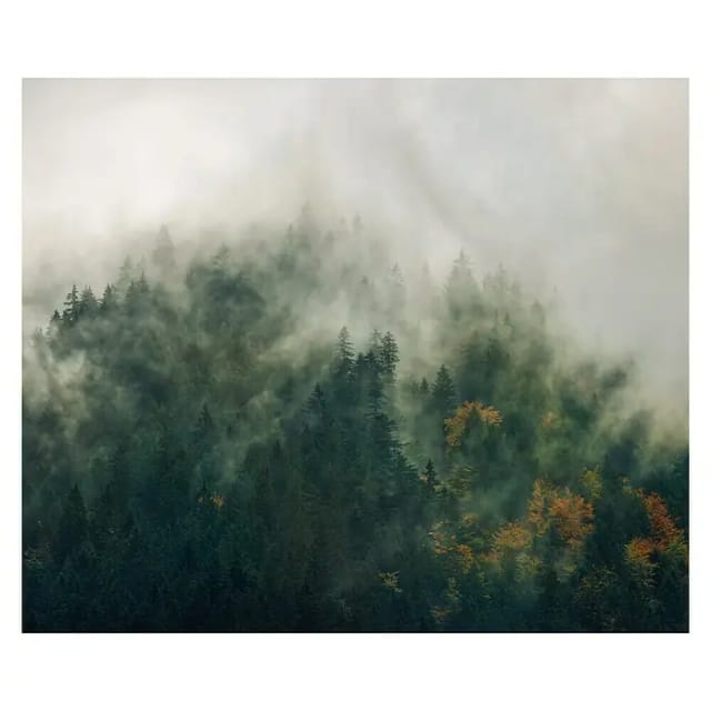 Komar Fototapete Vlies Tales of the Carpathians 300 x 250 cm
