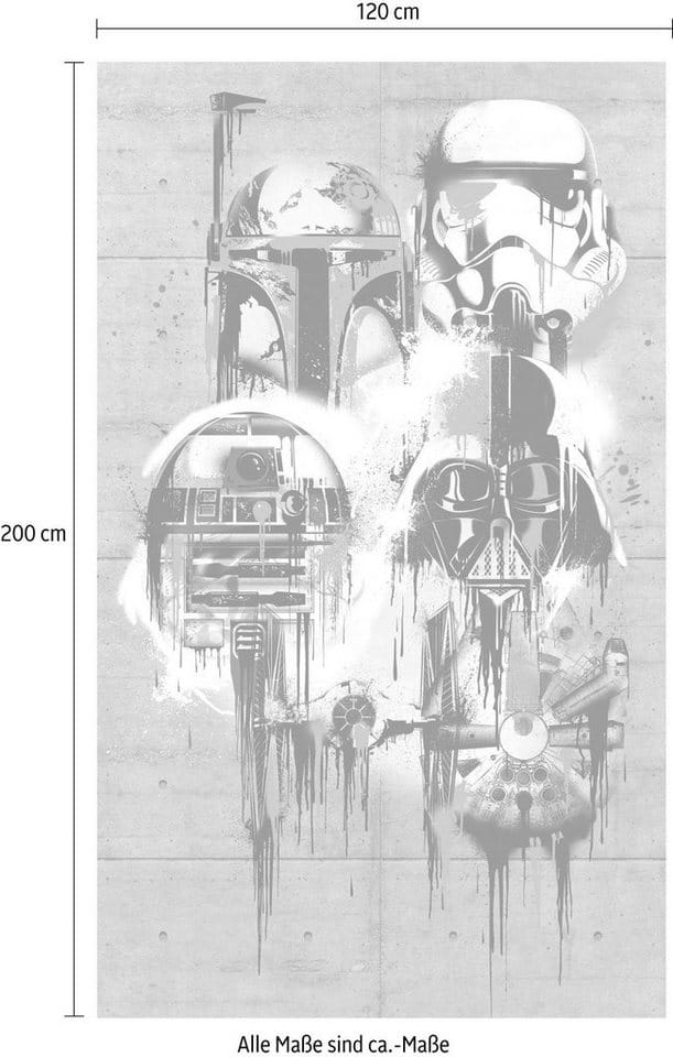 Komar Fototapete Vlies Star Wars Celebrate The Galaxy 120 x 200 cm
