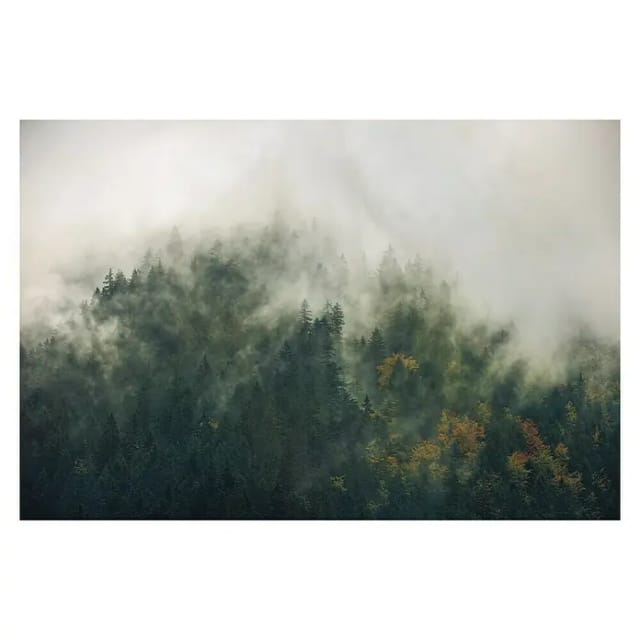 Komar Fototapete Vlies Tales of the Carpathians 300 x 200 cm