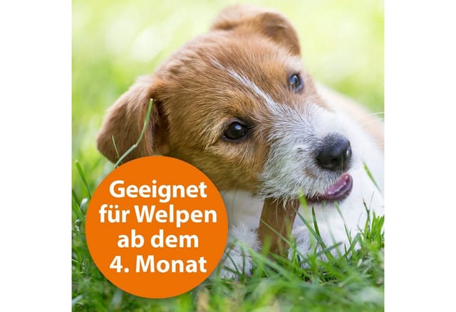 Ardap Spot-On für Hunde Unter 10 kg
