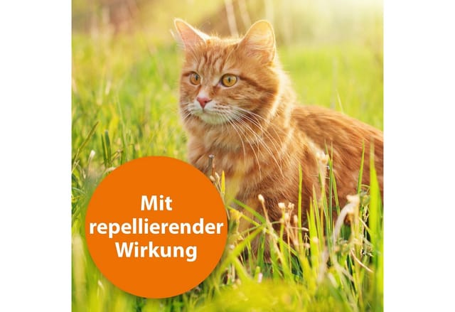 Ardap Spot-On für Katzen Über 4 kg