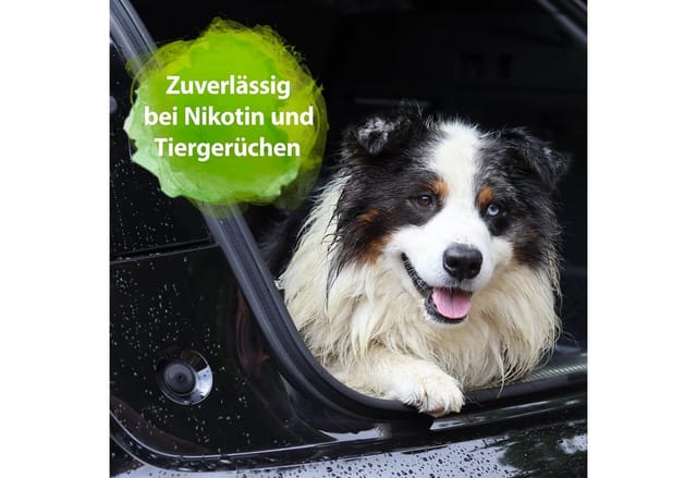 Bactador Auto Innenreiniger und Geruchsentferner Spray 500 ml