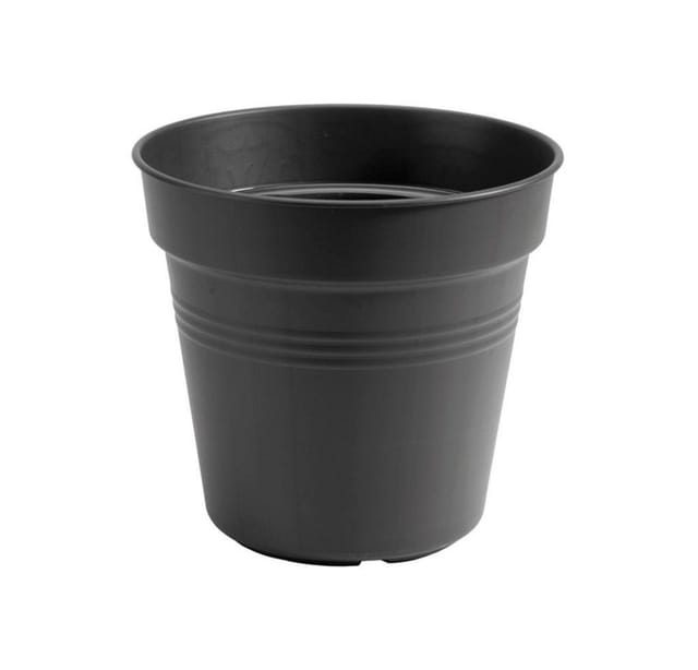 Elho Anzuchttopf Green Basics Ø 15 cm,iving schwarz