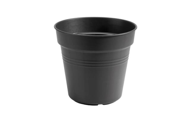 Elho Anzuchttopf Green Basics Ø 24 cm,iving schwarz