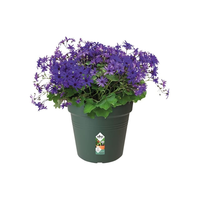 Elho Anzuchttopf Green Basics Ø 17 cm,aubgrün