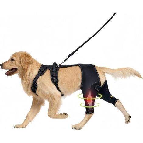 Kniebandage Für Hunde, Doppelte Hinterbeinstützvorrichtung, Schmerzlinderung Bei Kreuzbandriss/arthritis, Verstellbar, Atmungsaktiv (xl)