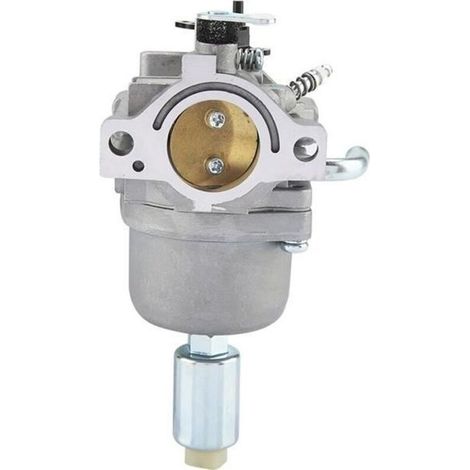 Vergaser – 14,5 Ps Bis 21 Ps – Für Briggs & Stratton Motoren – Teilenummer 796109 591731 594593 – 1 Stück