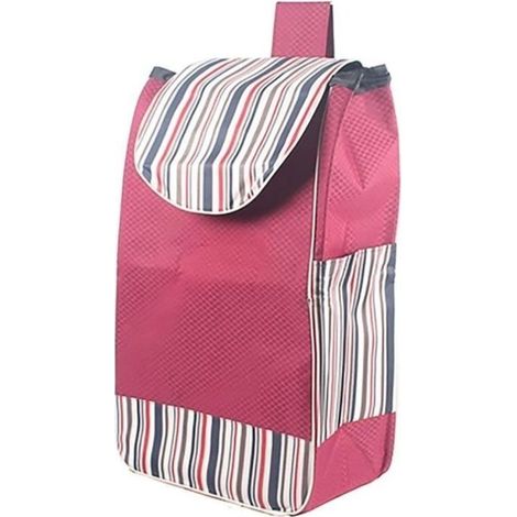 Einkaufstasche Für Einkaufswagen – Ersatztasche Für Einkaufswagen – Wasserdicht Und Strapazierfähig – 34 X 20 X 56 Cm – 38 Liter Fassungsvermögen – Mit Seitentaschen Und Sicherheitsverschlüssen – 1 St