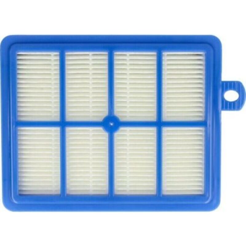 Ersatz-hepa-allergiefilter Für Electrolux Ergospace Staubsauger. Excellio. Twinclean. Ultraone. S-bag Wie Aef13w. Aef 13 W. H13.