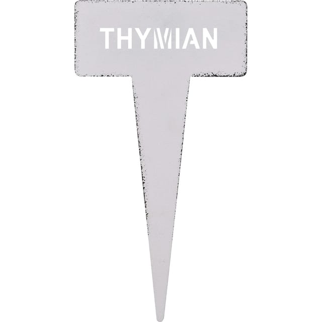 Kräuterstecker Thymian 15 cm Weiß