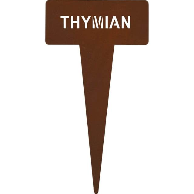 Kräuterstecker Thymian 15 cm Rostfarben