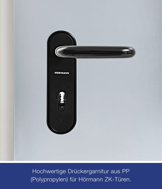 ZK-Tür-Element mit Eckzarge Verzinkt 750 mm x 1875 mm x 55 mm DIN Rechts