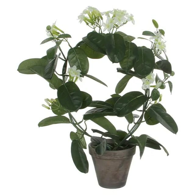 Mica Decorations Kunstpflanze Stephanotis im Blumentopf Stan Ø 40 x 50 cm Weiß