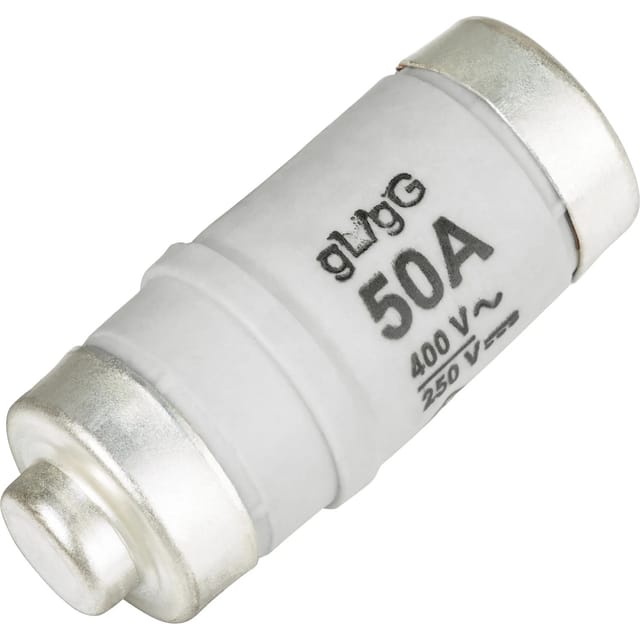Sicherung D02/E18 50 A Träge 10 Stück