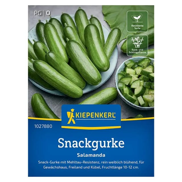 Kiepenkerl Salatgurke Salamanda F1