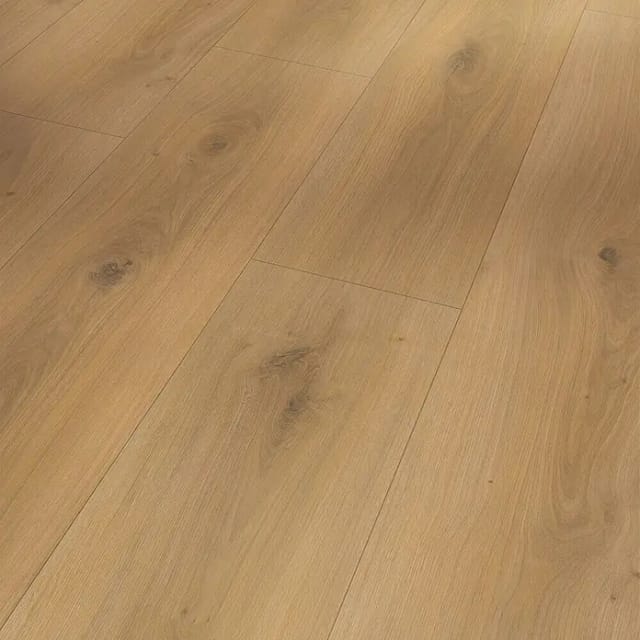 Parador Basic 600 Laminat 8 mm Wasserfest Eiche Horizont Natur