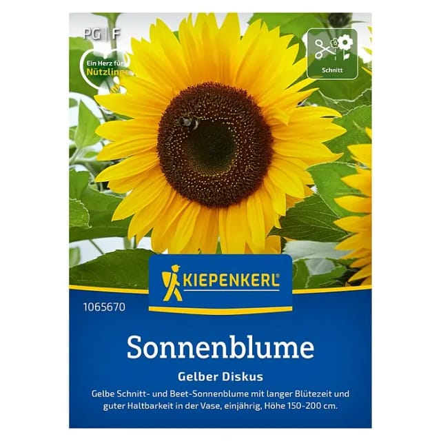 Kiepenkerl Sonnenblume Gelber Diskus Helianthus