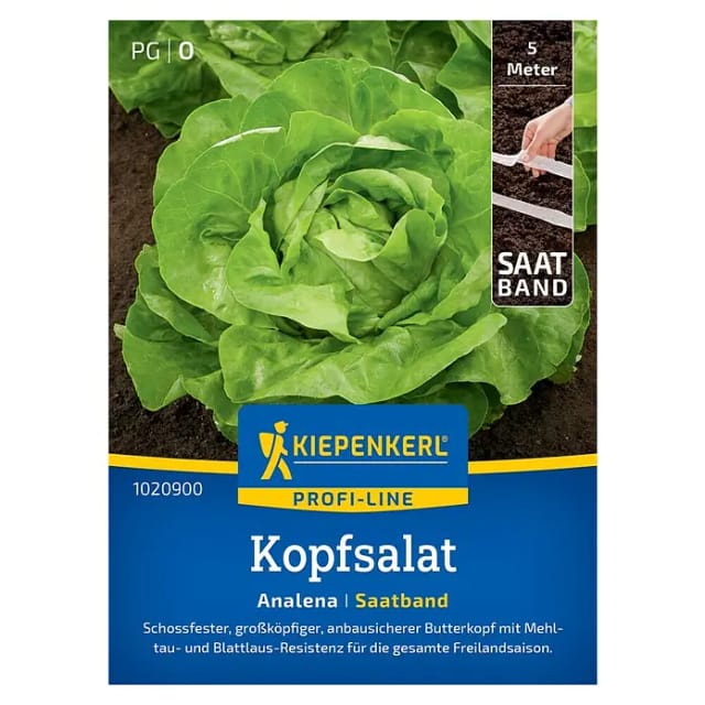 Kiepenkerl Kopfsalat Analena Saatband