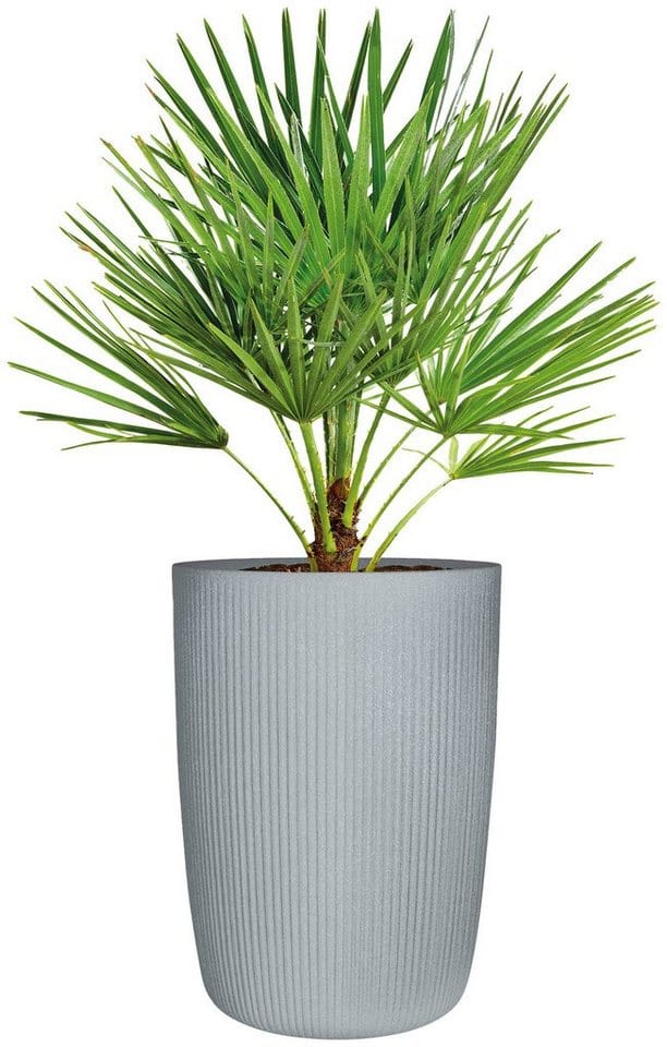 Scheurich Pflanzsäule Linetto High Ø 38 cm x 54 cm Stony Grey