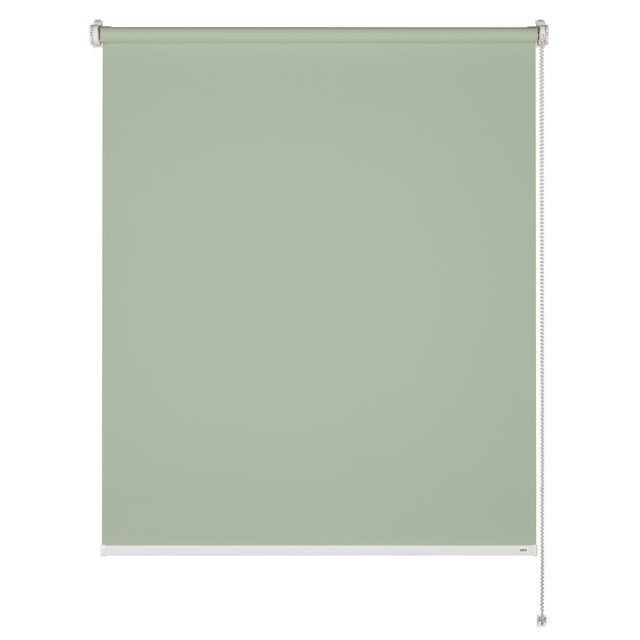 Schöner Wohnen Tageslicht-Rollo Tizia 45 cm x 150 cm Grün