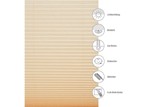 Schöner Wohnen Plissee Milla 120 cm x 130 cm Beige