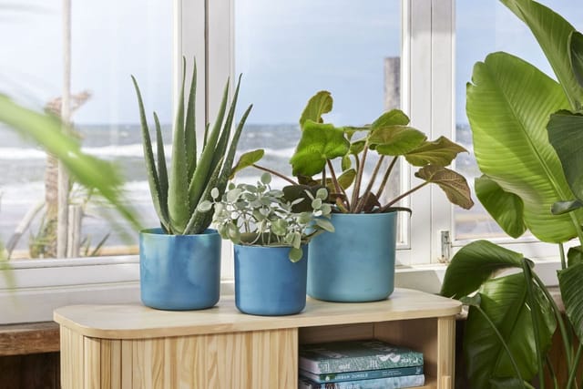 Elho Blumentopf Ocean Collection Ø 16 cm Atlantikblau