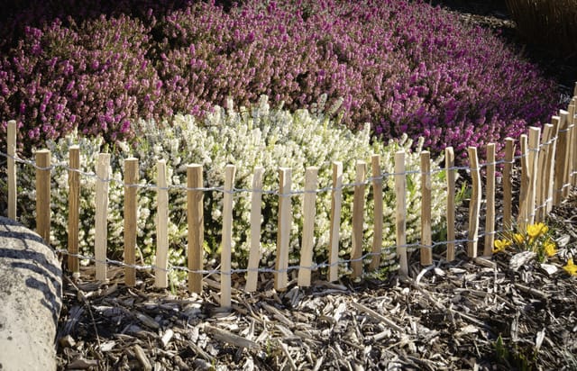 Floraworld Mini-Roll-Beetkannte 2 m