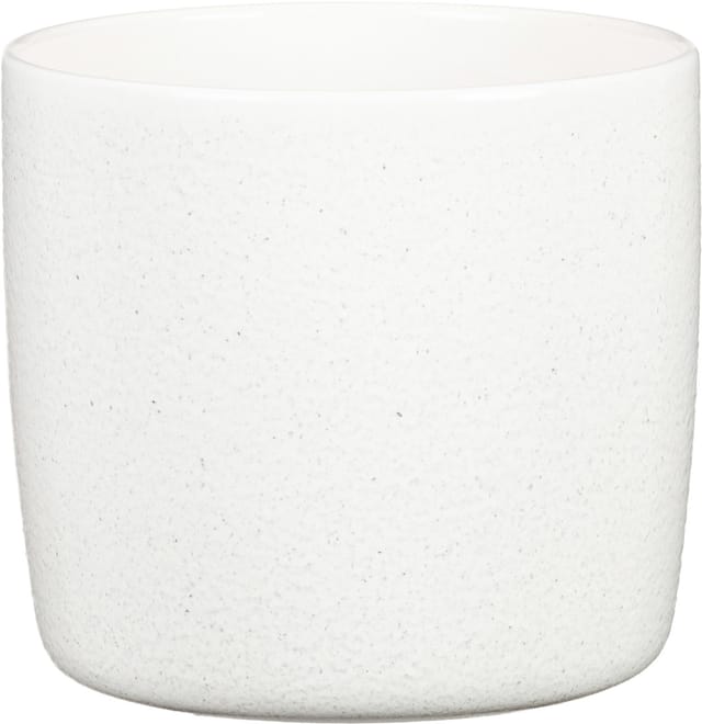 Scheurich Übertopf 900 Solido Ø 13 cm x 12 cm Perla