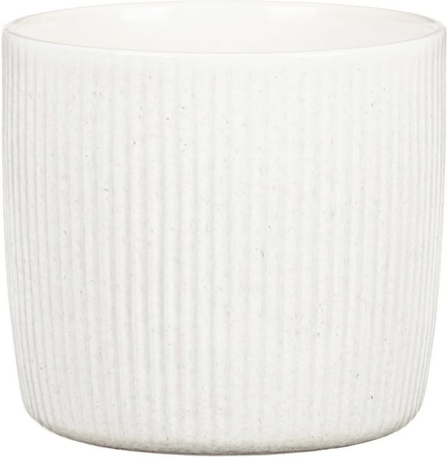 Scheurich Übertopf 900 Solido Linea Ø 15 cm x 14 cm Perla