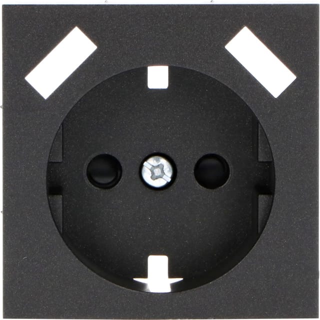ProCharge Steckdoseneinsatz für ProCharge 2xUSB A Schwarz