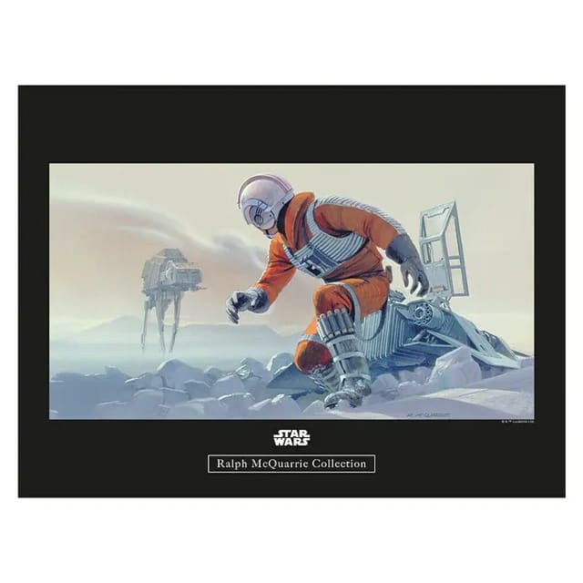 Komar Wandbild Star Wars Pilot 40 x 30 cm