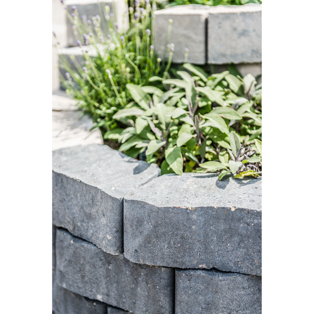 Diephaus Mauertrapezstein Epocca Quarzit L 25/18 x B 14 x H 10 cm
