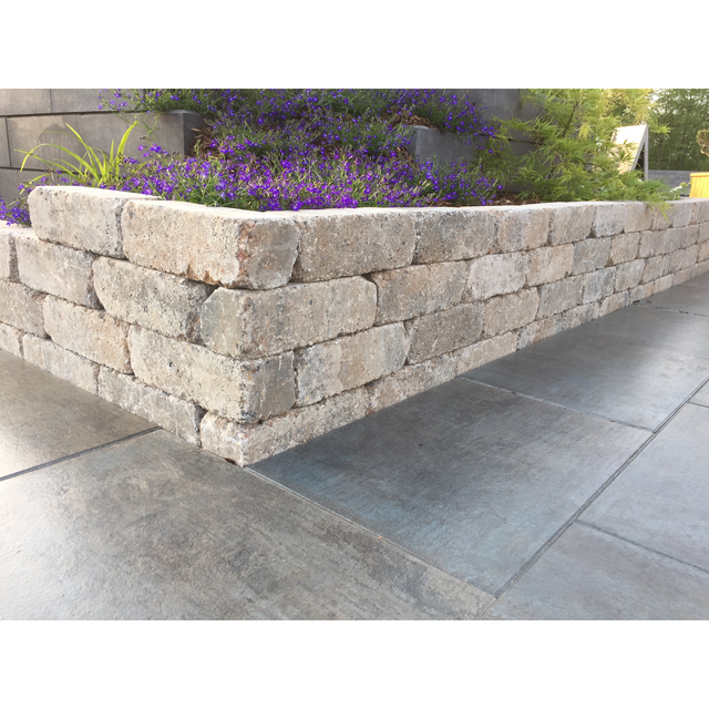 Diephaus Mauerstein Collo Muschelkalk 30 x 10 x 10 cm