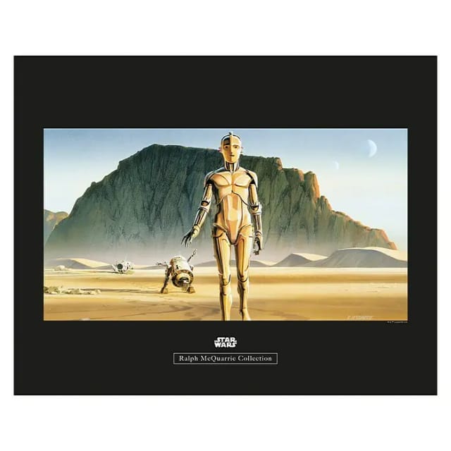 Komar Wandbild Star Wars Droids 40 x 30 cm
