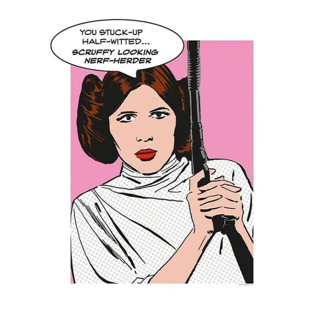 Komar Wandbild Star Wars Leia 30 x 40 cm