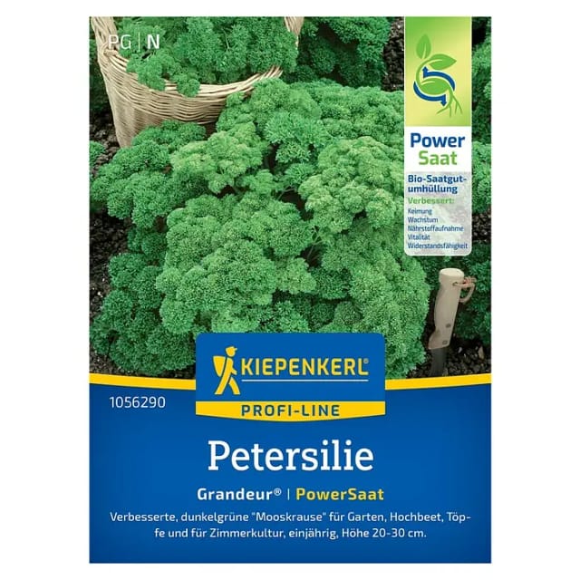 Kiepenkerl Petersilie Darki (Petroselinum crispum)