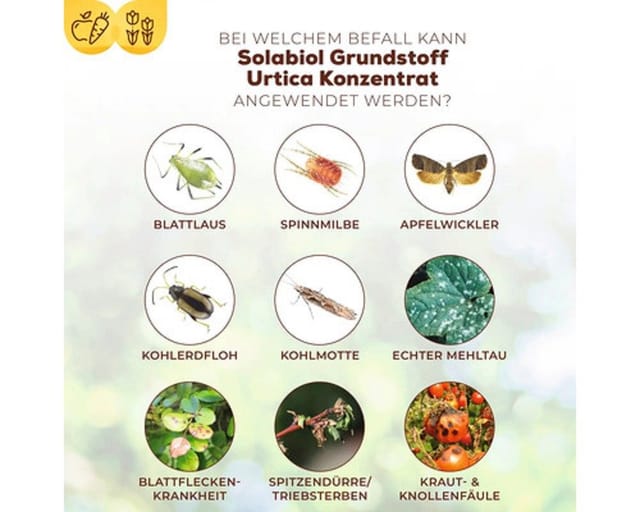 Solabiol Grundstoff Urtica Konzentrat 1,