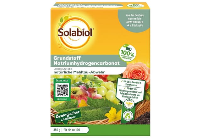 Solabiol Grundstoff Natriumhydrogencarbonat 350 g