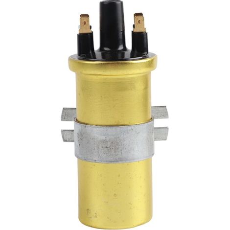 12-v-zündspulen, Rostfrei, Oem-standard Dlb105, 2,2 Zoll Durchmesser Für Pkw